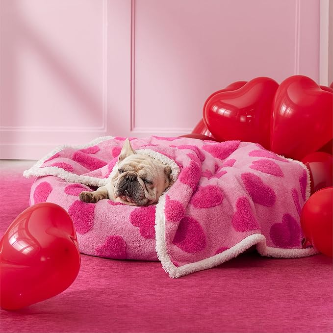 Lesure Waterproof Puppy Blanket for Medium Dogs - Washable Double Sided Dog Blankets with Warm Jacquard Shag and Soft Sherpa Fleece, Pet Cat Blanket for Couch Protection, Love Pattern Design,Pink