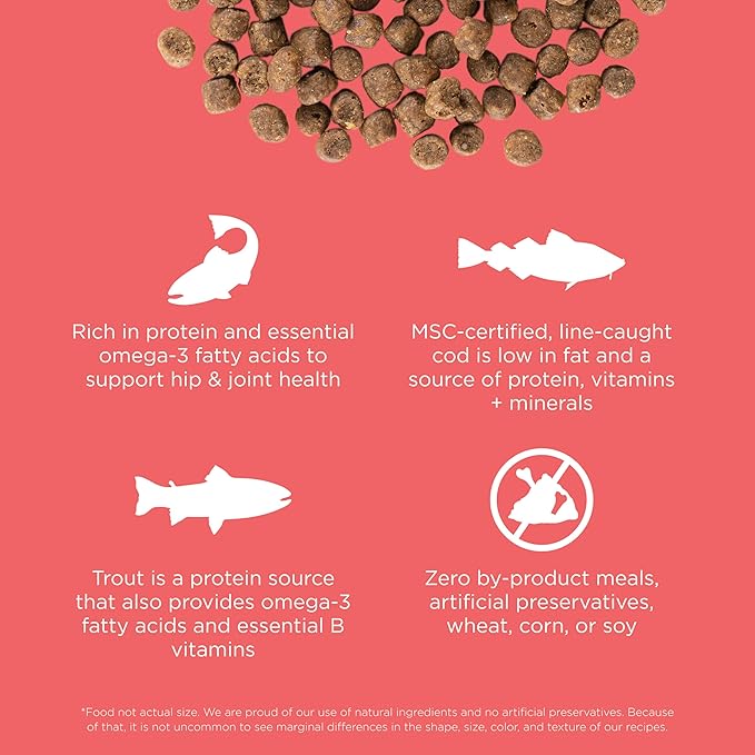 Go! Solutions Carnivore, Grain-Free, Protein Rich Dry Cat Food, Salmon and Cod Recipe, 8 lb Bag