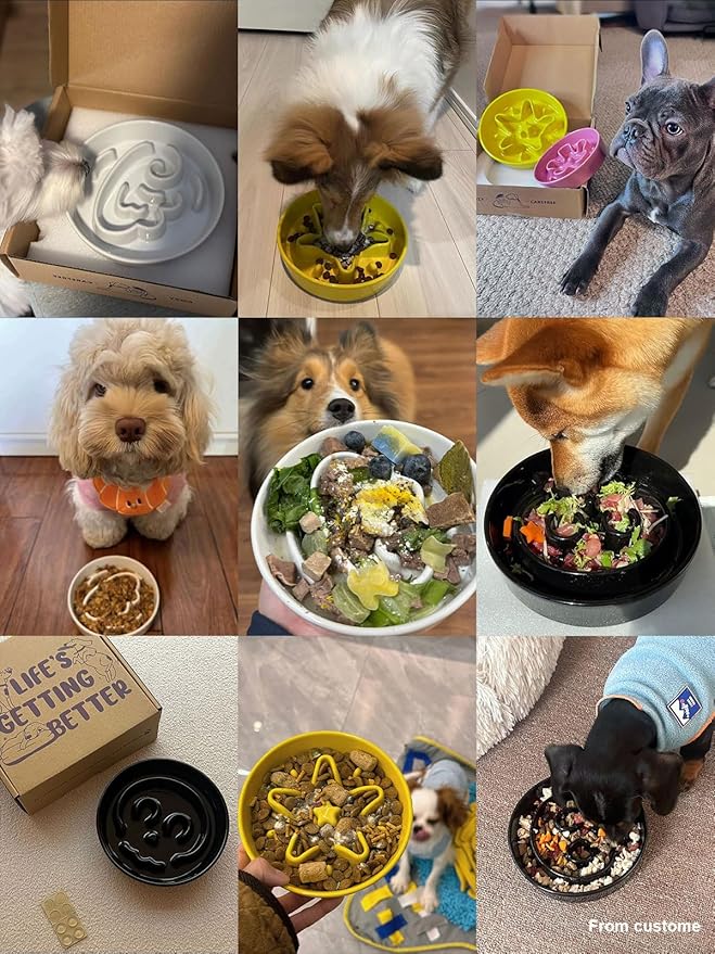 LE TAUCI Ceramic Slow Feeder Dog Bowls Small Breed, 0.6 Cups Dog Food Dish for Fast Eaters, Puzzle Bowl for Small Dogs and Cats, Star Yellow