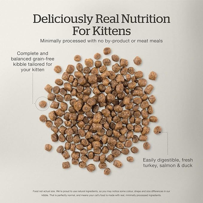 Now Fresh Grain-Free Dry Kitten Food with Turkey, Salmon & Duck, Healthy Kibble for Growing Cats with Real Meat & Fish, Chicken-Free, with Pumpkin & Probiotics for Sensitive Stomachs, 3 lb Bag