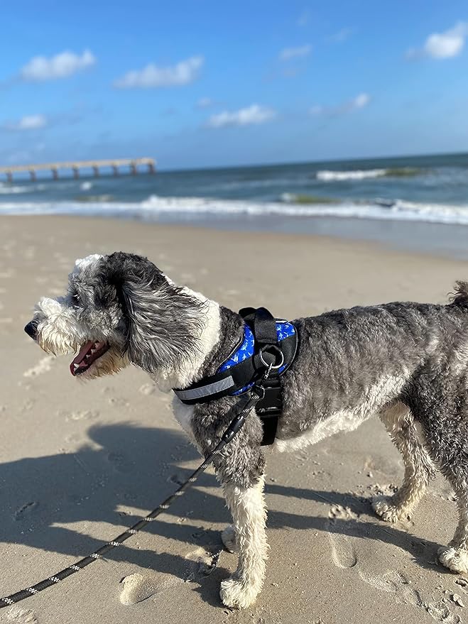 ShawnCo Essential Dog Harness, No-Pull Pet Vest with 3 Leash Clips, No Choke, Reflective, Adjustable and Padded, for Easy Walking and Training for Small, Medium and Large Dogs (White Sharks, XS)