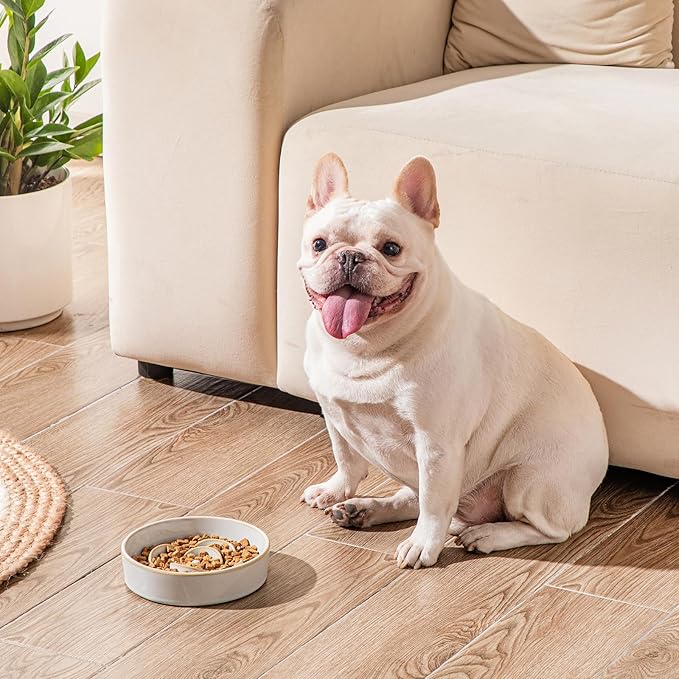 vancasso Slow Feeder Dog Bowl, 0.6 Cups Ceramic Dog Food Dish for Fast Eaters Small Breed, Puzzle Bowl for Small Dogs and Cats, Light Gray
