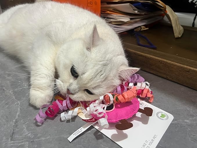 Catnip Toys for Cat,Kitten Chew Teeth Cleaning Toy,Interactive Plush Toys for Swatting and Playing,Curly-haired Figure Cat Toy (red)