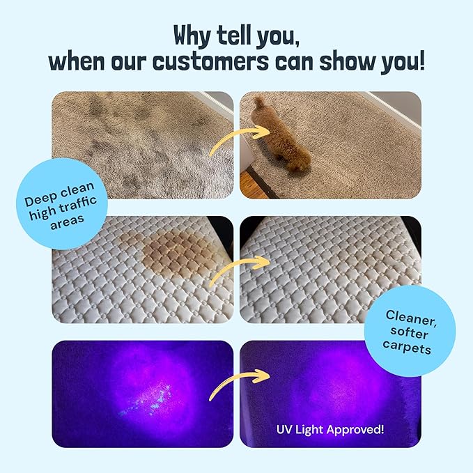 Sunny & Honey Carpet Cleaner Solution - 32 Fl Oz, Fresh Summer Scent - Rug Shampoo & Upholstery Cleaning Solution - Pet Odor Eliminator & Pet Stain Remover