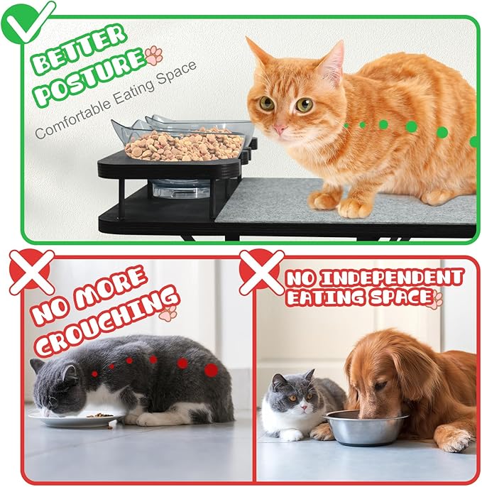 Brand Cat Wall Shelves with 3 Steps & Scratch Post, Includes 2 Food Shelves