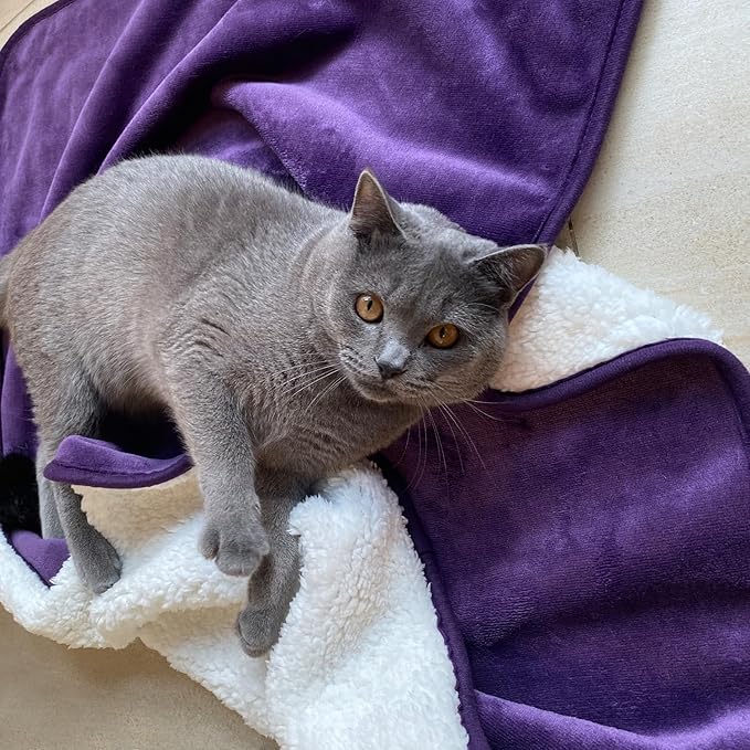 Waterproof Blanket for Bed Couch Sofa, Soft Liquid Pee Proof Pet Blanket for Dog Puppy Cat, Reversible Sherpa Fleece Furniture Protector (Dark Purple, 30x40 inches)