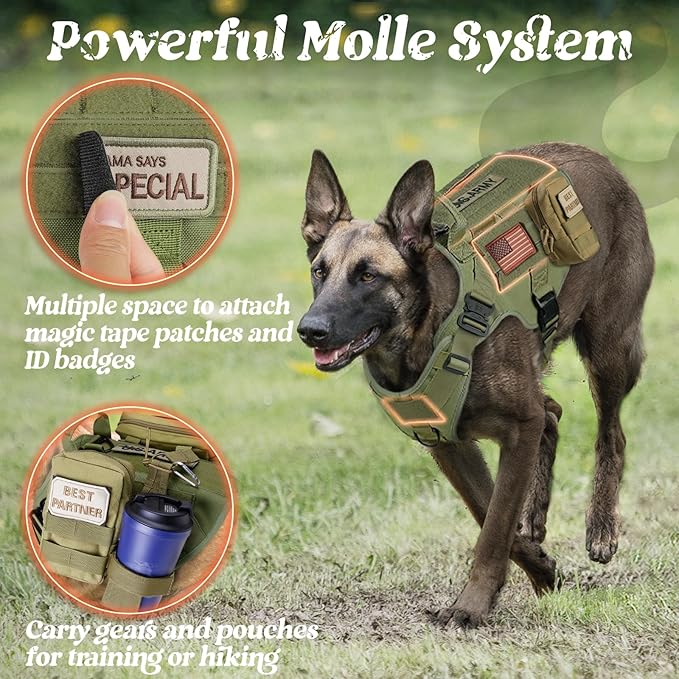 rabbitgoo Tactical Dog Harness for Small, Heavy Duty Pet Harness with Handle, No-Pull Service Vest Small Breed, Adjustable Military Dog Vest for Training Hunting Walking, Green, S