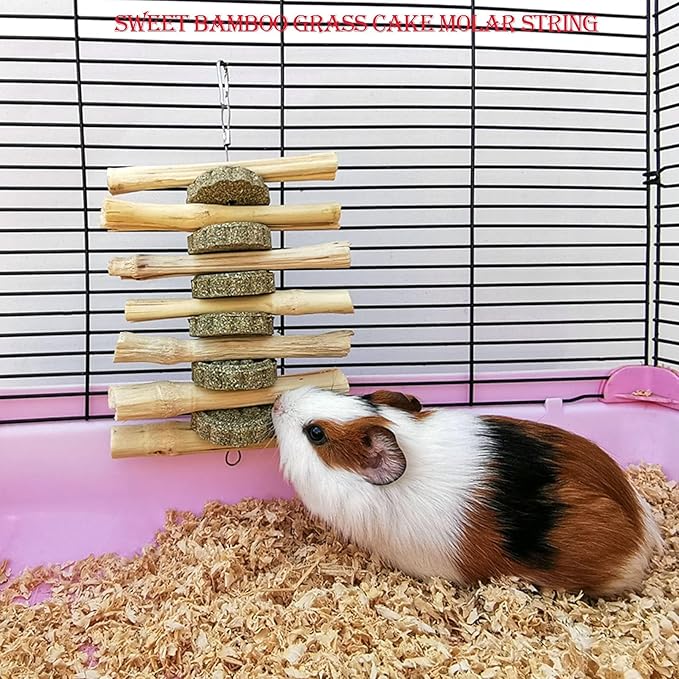 kathson Bunny Chew Toys for Teeth Grinding, Rabbit Wooden Scratch Board Feet Pad Platform Small Animals Play Toy for Guinea Pigs Chinchilla Hamsters Other Rodent Pets(E)