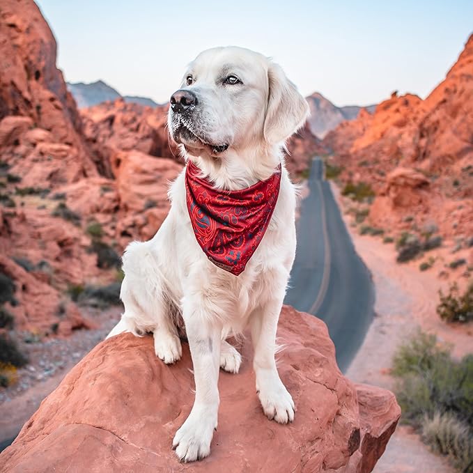 Wilderdog Dog Bandana with Lightweight Quick Drying Poly-Blend Mesh Material in Rodeo