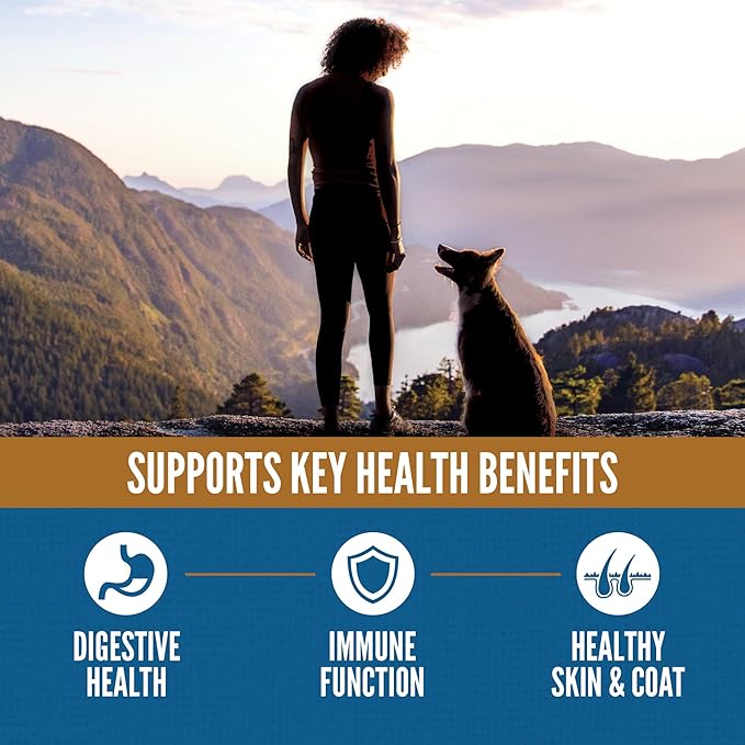 ORIJEN Amazing Grains High Protein Dry Dog Food Original Recipe 4lb Bag