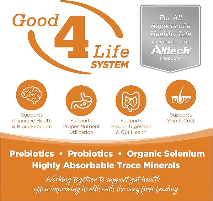 NutriSource Lamb Meal & Peas Formula Dog Food, Grain Free, 5 lb, for Dogs (131152)