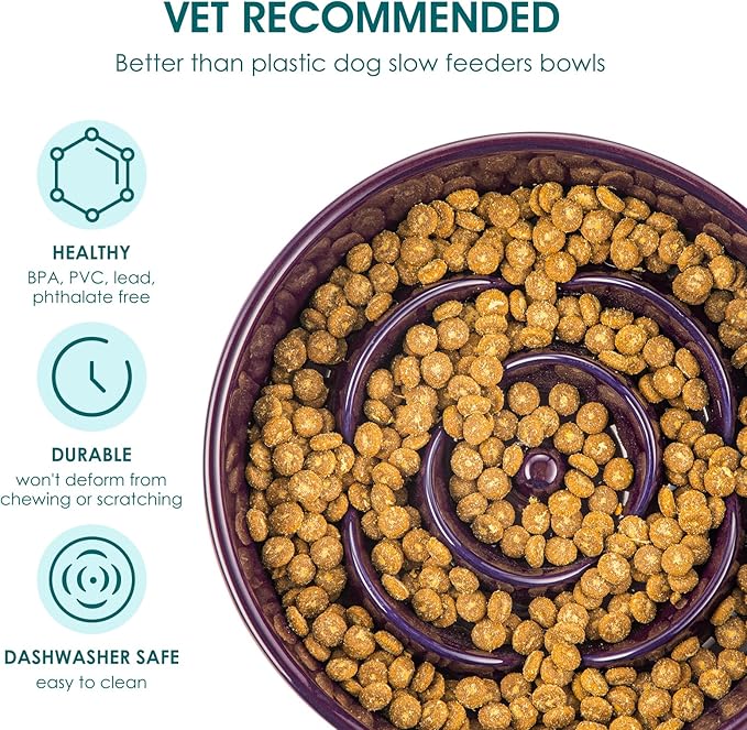 vancasso Slow Feeder Dog Bowl, 3 Cups Ceramic Slow Feeder for Large Breed, Puzzle Maze Dog Food Bowl for Fast Eater, Dark Purple