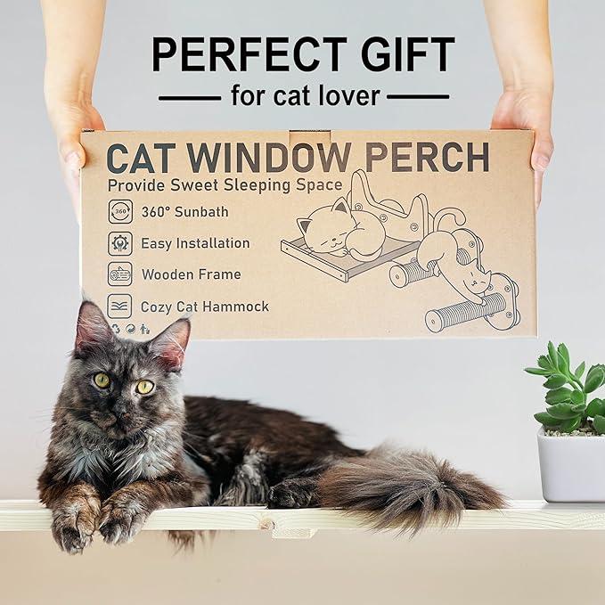 2-in-1 Cat Window Perch & Wall Shelves, Cozy Cat Window Hammock for Indoor Cats with 2 Pack of Sisal Window Shelf - Solid Wood Wall Mounted Furniture,for Sunbathing, Napping & Overlooking