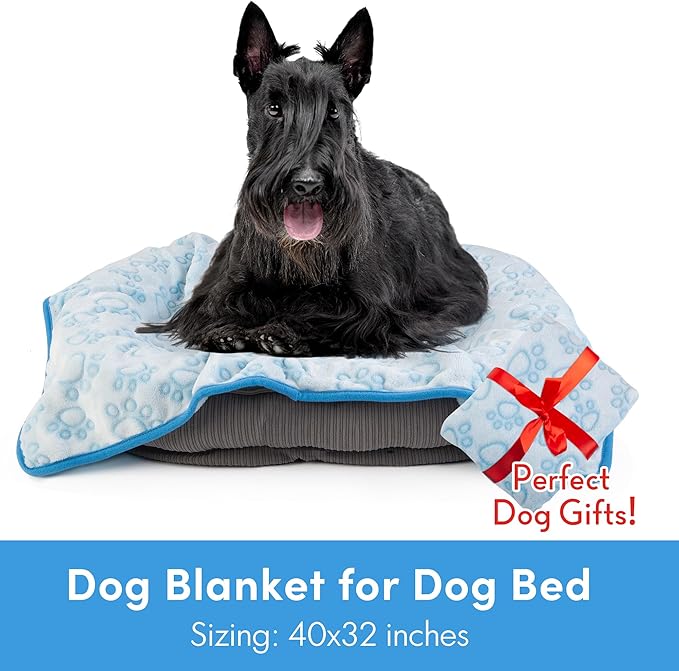 Blue Dog Blanket for Puppy Accesssories Boy, Blue Dog Stuff for Small Kitten Indoor Cats, Washable Soft Puppy Essentials Supplies