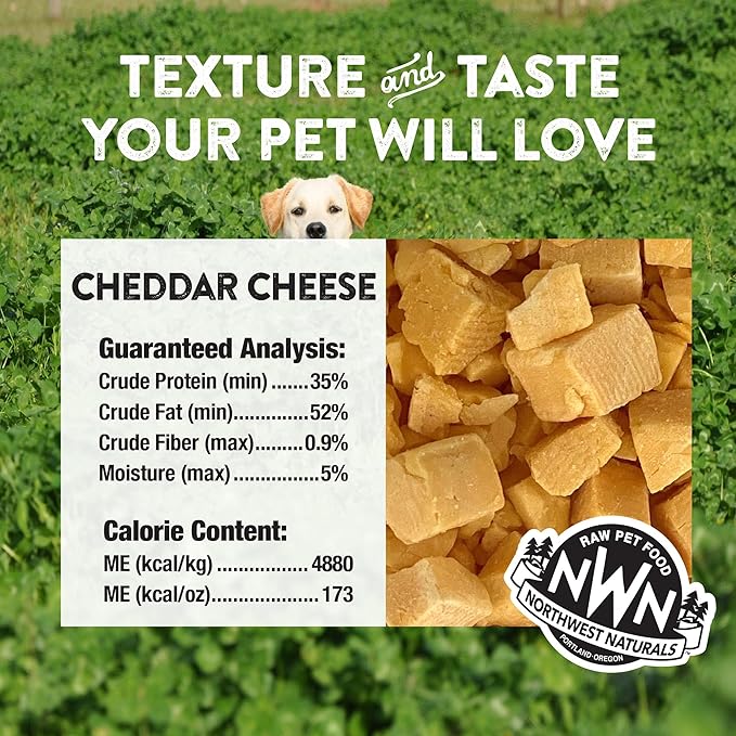 Northwest Naturals Raw Rewards Freeze-Dried Cheddar Cheese Treats for Dogs and Cats - Bite-Sized Pieces - Healthy, 1 Ingredient, Human Grade Ingredients, Natural, Proudly Made in USA, 6 Oz (Pack of 3)