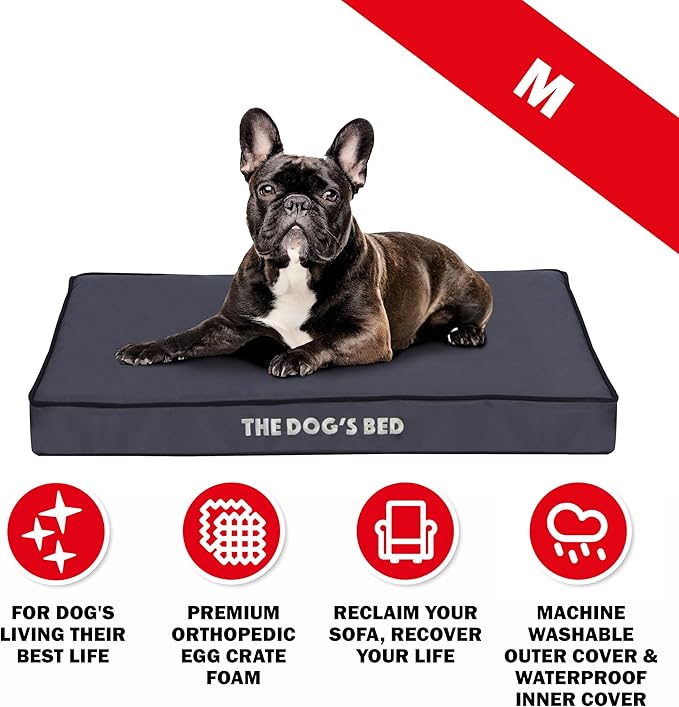 The Dog’s Bed Orthopedic Dog Bed, Medium Grey with Black Trim, Waterproof, Supportive Dog Bed with Washable Replaceable Covers