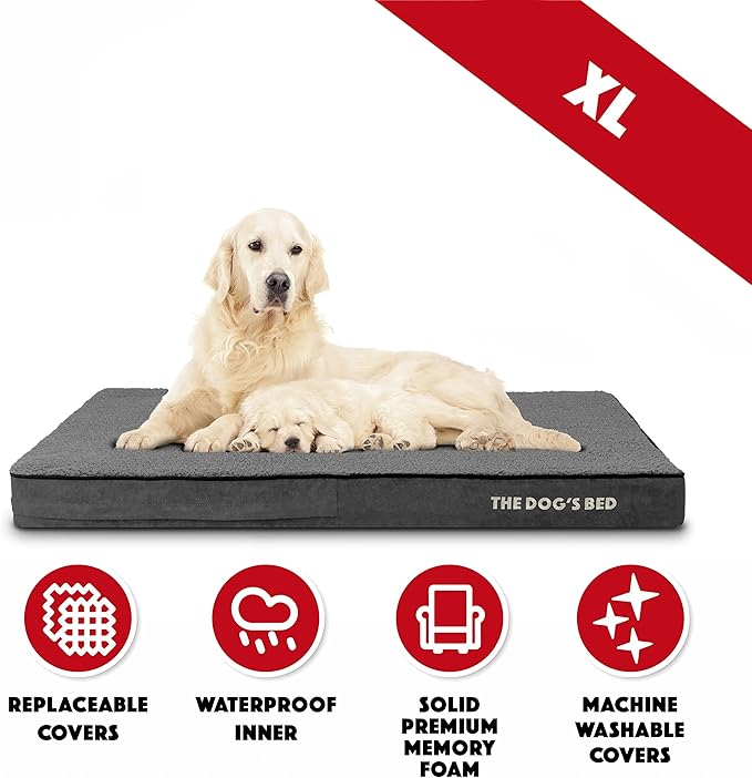 The Dog’s Bed Orthopedic Memory Foam Dog Bed, XL Grey Plush, Pain Relief for Arthritis, Hip & Elbow Dysplasia, Post Surgery, Lameness, Supportive, Calming, Waterproof Washable Cover