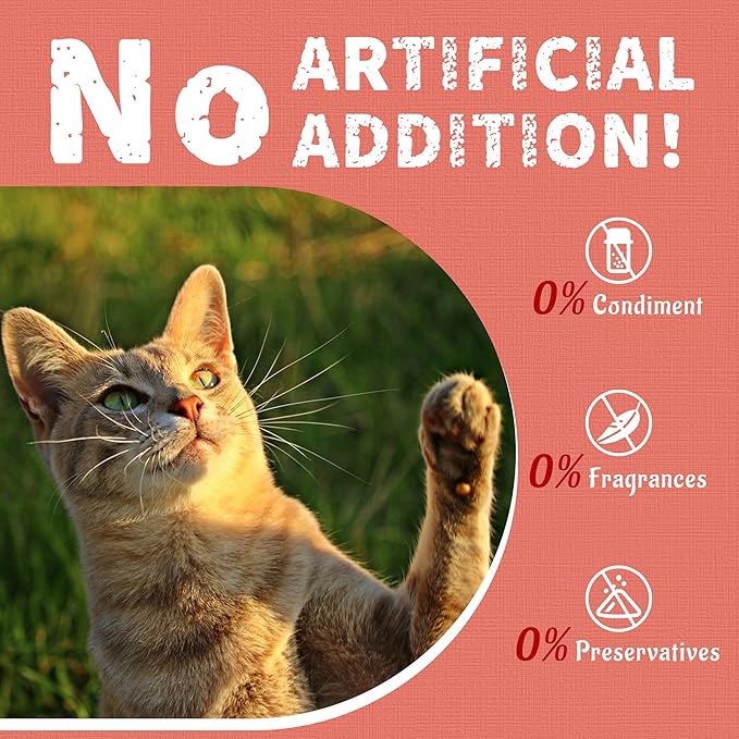 Just Try 16 OZ Salmon Cat Treats for Indoor Cats, Crunchy Training Treats Dental Care Omega 3 for Cats Joint Support & Skin Coat Health
