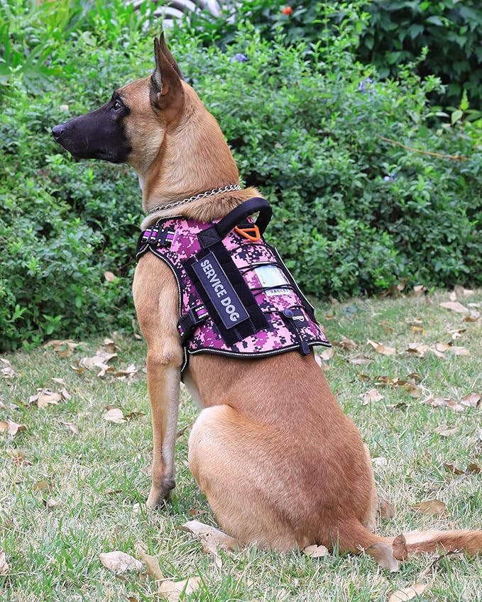 PETNANNY Tactical Dog Harness Reflective with ID Card,Service Dog Vest Harness for Medium Large Dogs,Emotional Support Vest with Padded Handle,2 Reflective Patches for Training Hunting(Purple Camo,XL)