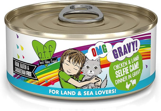 Weruva B.F.F. OMG - Best Feline Friend Oh My Gravy!, Selfie Cam! with Chicken & Lamb in Gravy Cat Food, 5.5oz Can (Pack of 8)