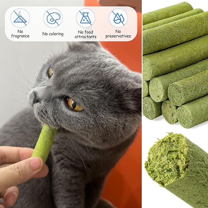 HavenJanny 50g Cat Grass Teething Stick, Freezed Drying Cat Grass Sticks Snacks for Cats, Edible Cat Treats for Teeth Cleaning and Hairball Removal
