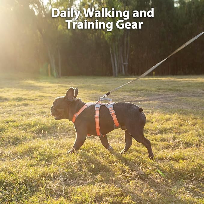 Huntboo Escape Proof Dog Harness, Escape Artist Harness, Fully Reflective Harness with Padded Handle, Breathable, Durable, Adjustable Vest for Small Dogs Walking, Training, and Running Gear (Orange,S)