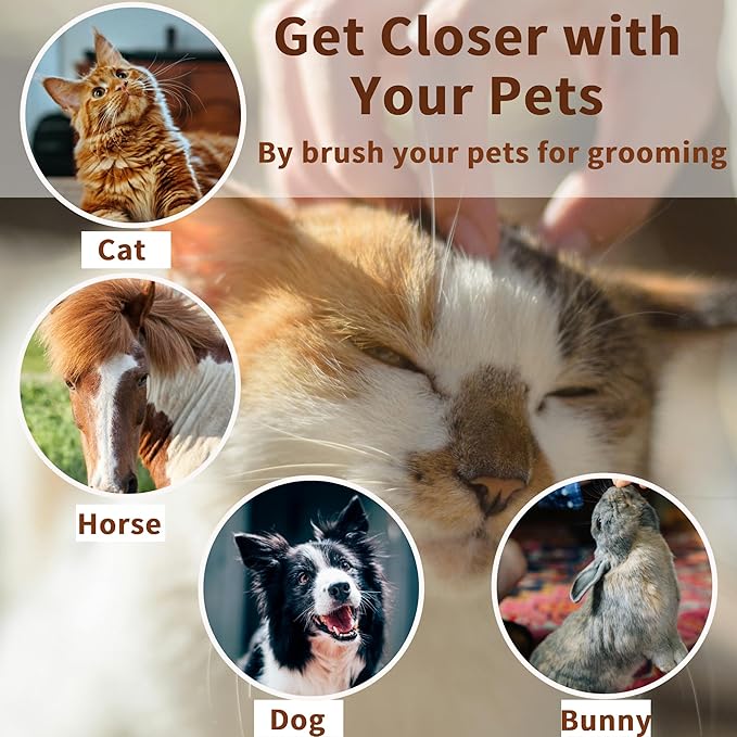 Soft Cat Brush for Indoor Cats Shedding with Protective Case, Flea Comb Included, Self-Cleaning Slicker Brush for Cats, Sensitive Cat Pet Hair Removal Tools Grooming Supplies