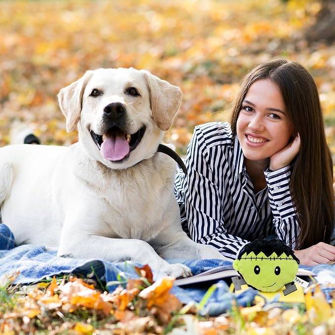 Flourish Pets 2 in 1 Halloween Multi-Layer Chew Toy for Active Dogs | Non-Toxic BPA Free Double Stitched Soft Fabric Exterior Dog Toys | Long-Lasting Dog Plush Toysโ Frankenstein 3.5"