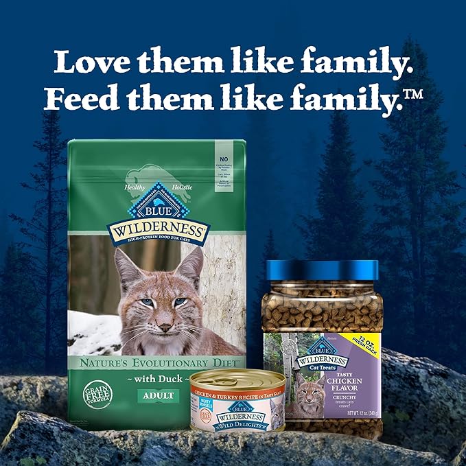 Blue Buffalo Wilderness Healthy Adult Dry Cat Food, Supports Health and Wellness, High-Protein & Grain-Free, Duck, 11-lb Bag