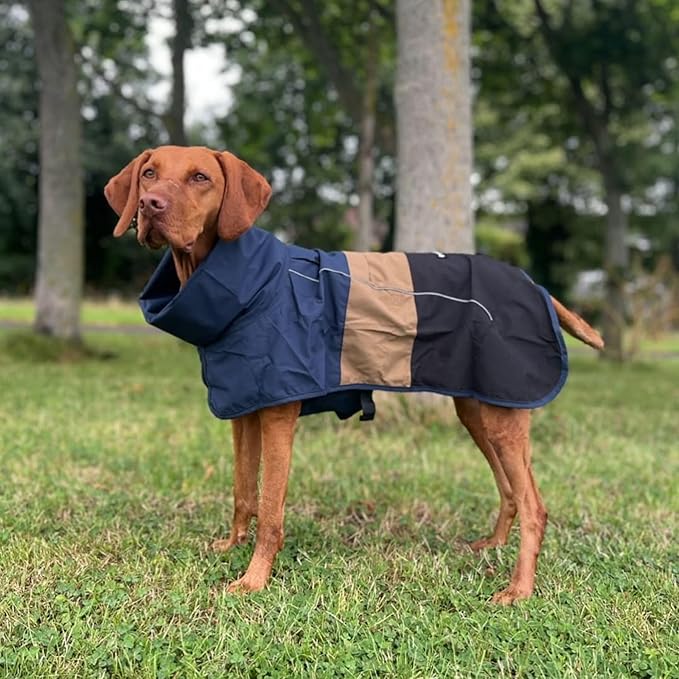 Spark Paws Dog Raincoat, Waterproof Windproof Rain Jacket, for Small Medium Large Extra Large Dogs, Reflective Breathable Full-Body Coverage Dry Suit - Blue Gold Black - M