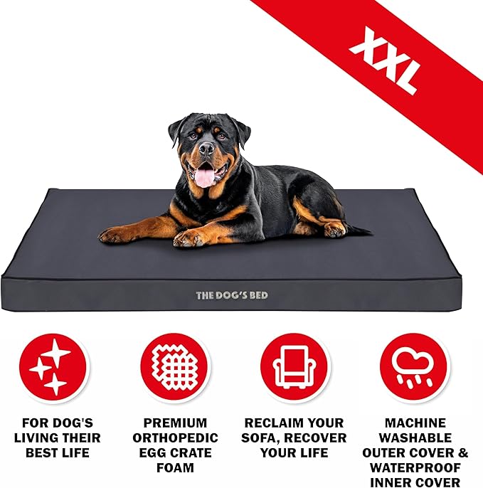 The Dog’s Bed Orthopedic Dog Bed, XXL Grey with Black Trim, Waterproof, Supportive Dog Bed with Washable Replaceable Covers