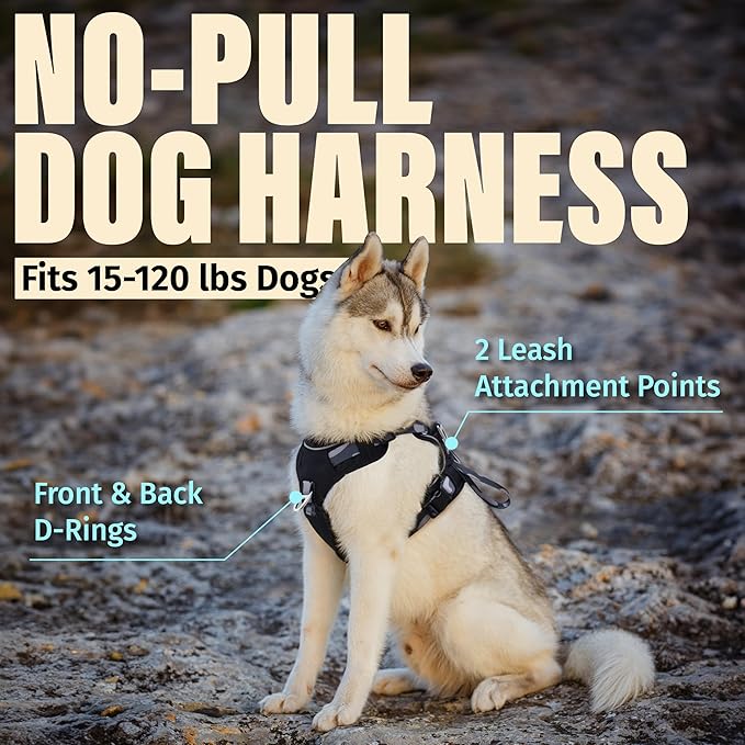 No Pull Dog Harness with Front & Back D-Rings,Water-Repellent 600D Oxford Fabric for Hiking,Training,Walking,Reflective Adjustable Vest, Lightweight Hardware Fit for Small Sized Dogs, Camo Black, XS