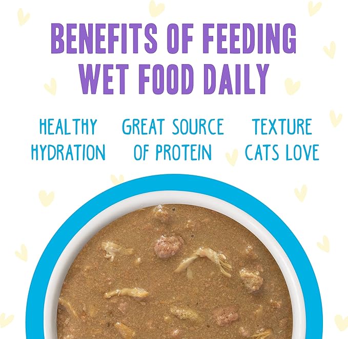 Weruva B.F.F. OMG - Best Feline Friend Oh My Gravy!, Chicken Cloud 9 with Chicken in Gravy, 2.8oz Can (Pack of 12)