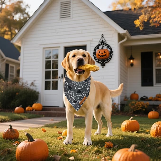 Realeaf Halloween Dog Bandanas 2 Pack, Reversible Orange Gray Pet Scarf for Boy and Girl, Premium Durable Fabric, Holiday Bandana for Small Medium Dogs (Halloween, Small)