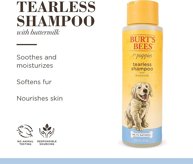 Burt's Bees for Pets Naturally Derived Tearless Puppy Shampoo with Buttermilk - Shampoo for Dogs and Puppies - Puppy Shampoo Gentle on Skin and Fur - Cruelty Free, Made in USA, 16 Ounces - 2 Pack