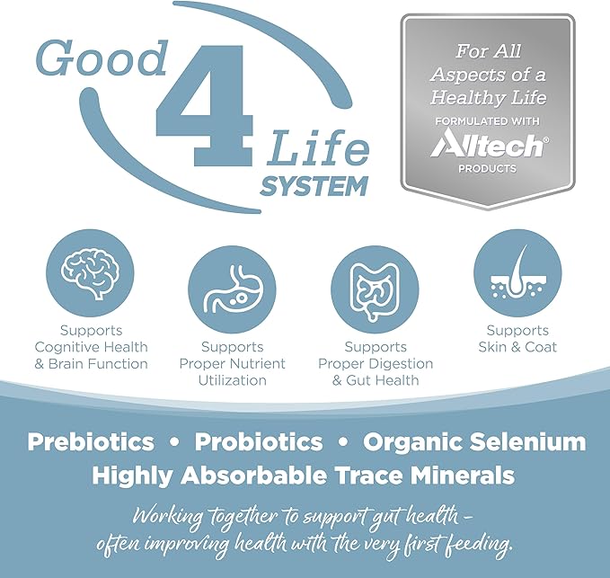 NutriSource Element Series Open Waters Dry Dog Food, Haddock, Trout and Duck, 12LB