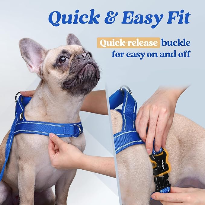 rabbitgoo Dog Harness No Pull, Quick Fit for Large Dogs with Soft Padded Handle, Chest Adjustable Reflective Pet Vest, No Choke Escape Proof for Walking Training, Blue L