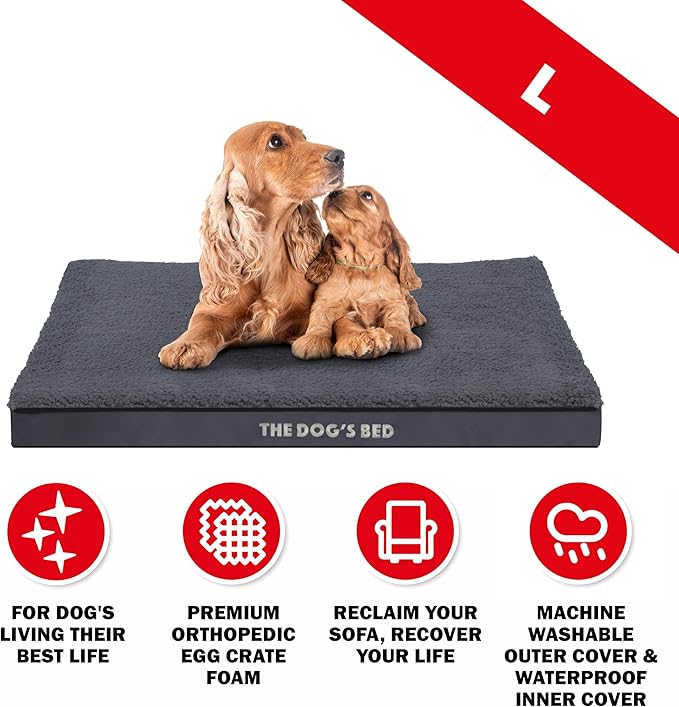 The Dog’s Bed Orthopedic Dog Bed, Large Grey Plush, Waterproof, Supportive Dog Bed with Washable Replaceable Covers