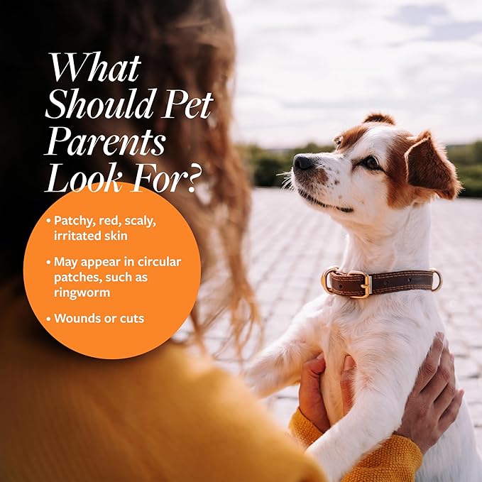 Veterinary Formula Clinical Care Antiseptic and Antifungal Medicated Spray for Dogs & Cats, 8 Fl Oz (1 Pack)