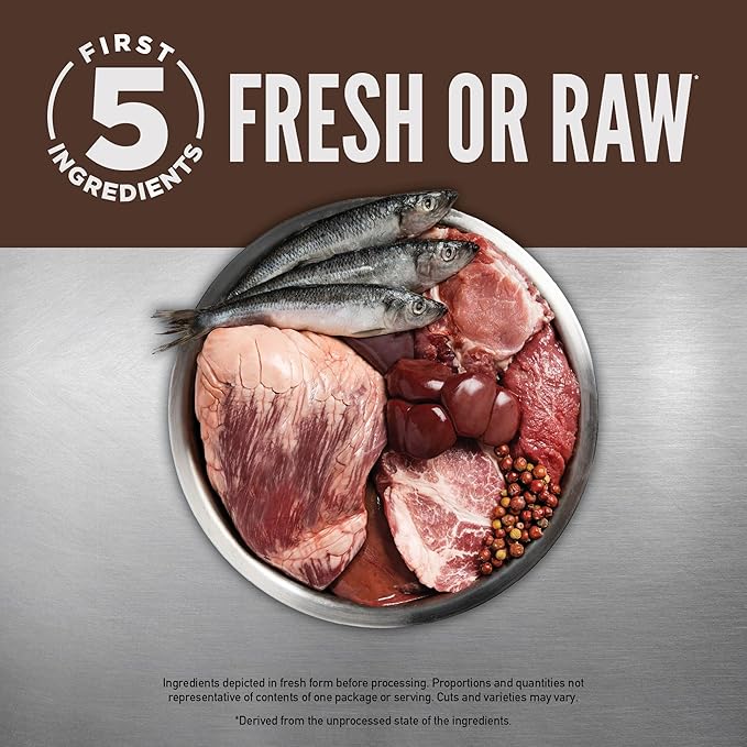 ORIJEN Grain Free High Protein Premium Dry Cat Food Regional Red Recipe 12lb Bag