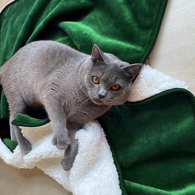 Waterproof Blanket for Bed Couch Sofa, Soft Liquid Pee Proof Pet Blanket for Dog Puppy Cat, Reversible Sherpa Fleece Furniture Protector (Green, 30x40 inches)