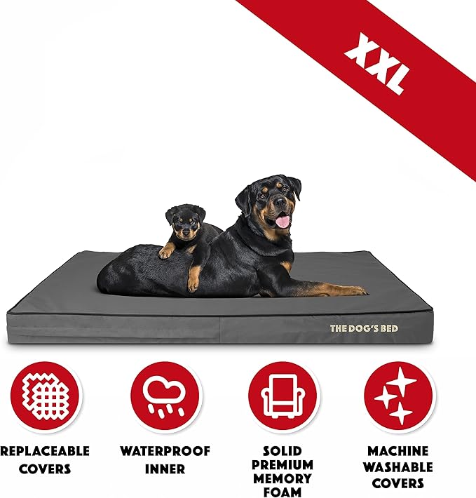 The Dog’s Bed Orthopedic Memory Foam Dog Bed, XXL Grey & Black, Waterproof, Supportive Dog Bed with Replaceable Covers