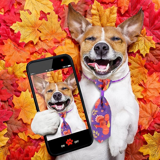 Eccliy 50 Pcs Fall Dog Bow Ties Collars for Dogs Adjustable Autumn Dog Bow Ties Neckties Set Thanksgiving Puppy Bows Grooming with Pumpkin Turkey Maple Leaves Pattern for Puppy Grooming Accessories