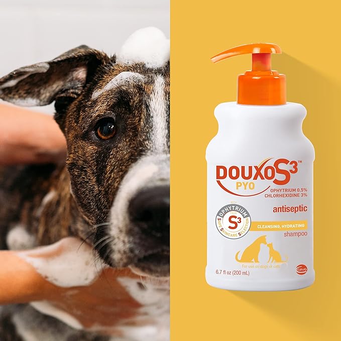 Douxo S3 Pyo Shampoo, Contains 3% Chlorhexidine & 0.5% Ophytrium, Antiseptic & Hydrating, For Bacterial or Yeast Skin Infections, For Dogs and Cats, 6.7 fl. oz. (200mL)