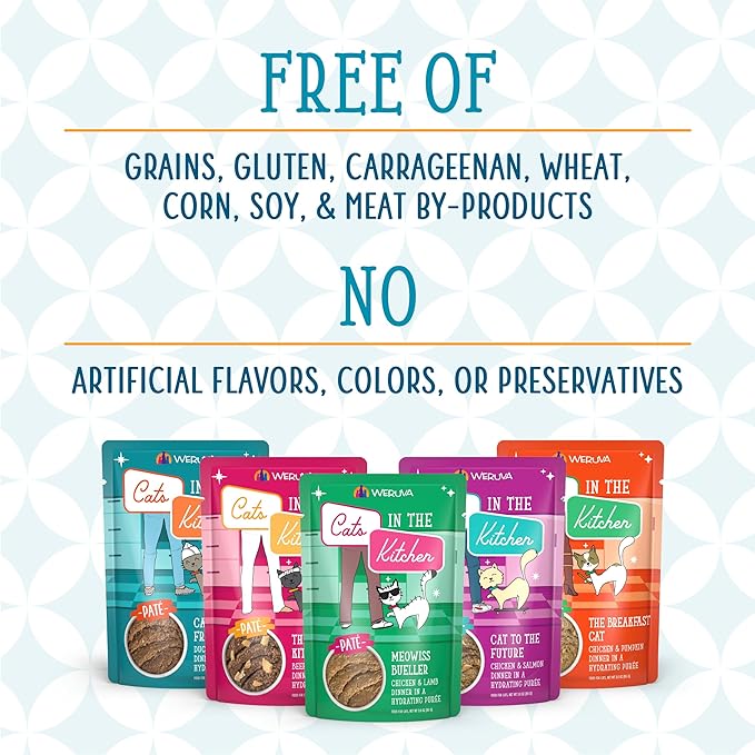 Weruva Cats in The Kitchen Slide N' Serve Grain-Free Natural Wet Pate Cat Food Pouches, Cat Times at Fridgemont, 3oz Pouch (Pack of 12)