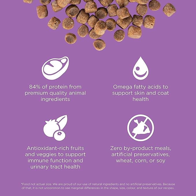 Go! Solutions Carnivore, Grain-Free, Protein Rich Dry Cat Food, Chicken, Turkey and Duck Recipe, 16 lb Bag