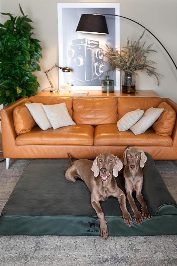 NOAH & PAW Giant Dog Bed XXL 55x45x9.5 Inch, Orthopedic Dog Beds, Eggshell Memory Foam Infused with Cooling Gel, Waterproof, Machine Washable, Includes Inner Cover (Faux Leather)