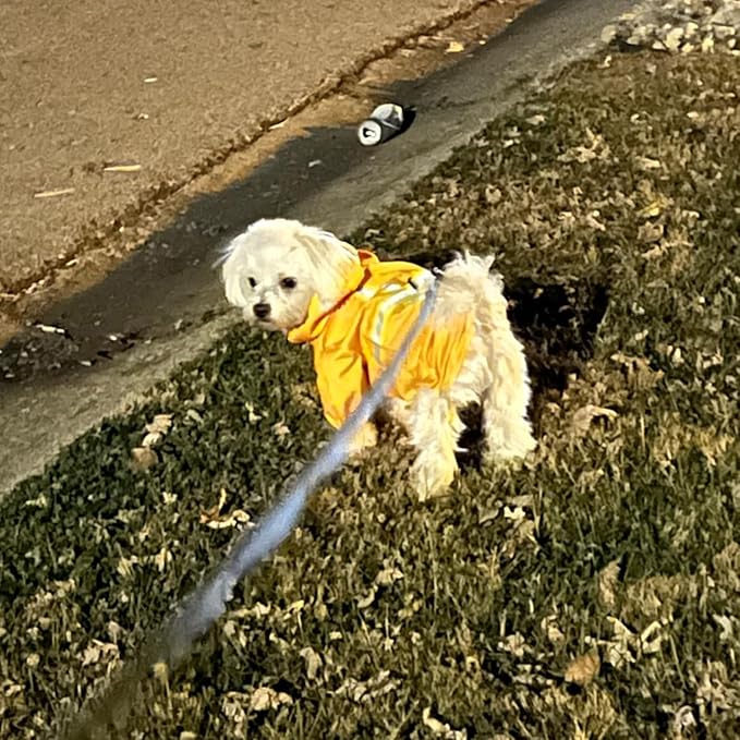 BEAUTYZOO Dog Raincoat with Harness Built-in for Small Medium Dogs and Puppies Boys Girls, Dog Rain Jacket Hooded Slicker Poncho Waterproof Reflective Dog Clothes for Winter Cold Rainy Snowy Days, XS