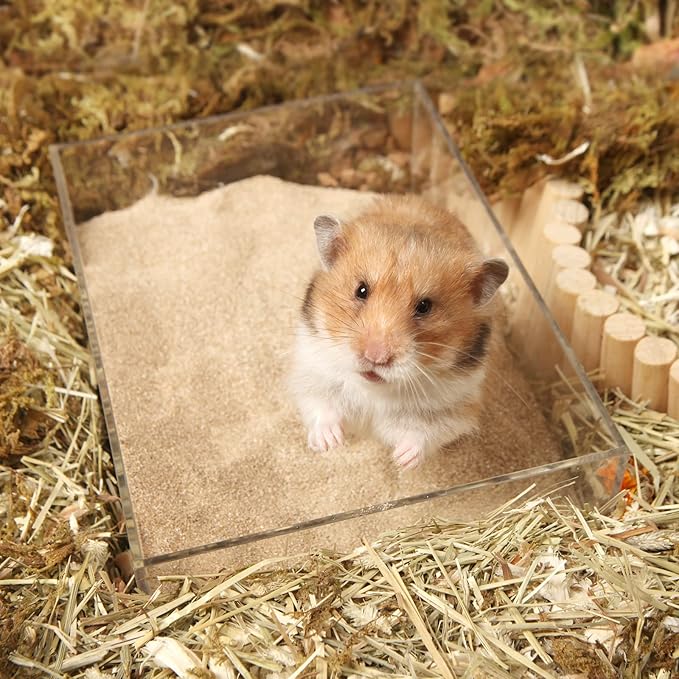 BUCATSTATE Hamster Sand, No-Dust 3.3LB Chinchilla Dust Bath with Pour Spout, 100% Natural Desert Bathing Sand for Syrian Hamster Gerbil Rat Mice Small Animals (Fine Sand)