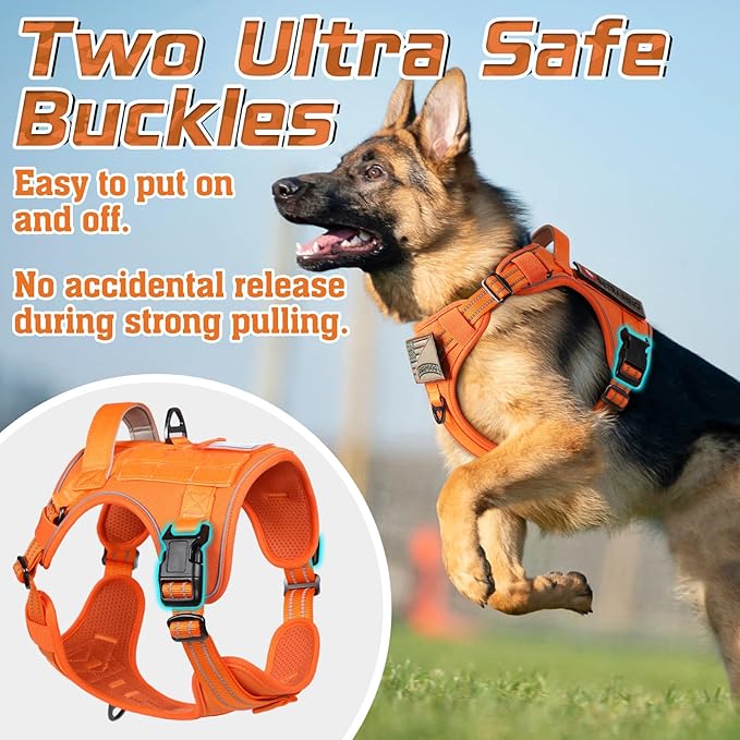 rabbitgoo Tactical Dog Harness Medium Sized Dog, No Pull Military Service Vest with Handle & Molle, Easy Control for Training Walking, Adjustable Reflective Straps, Orange, M